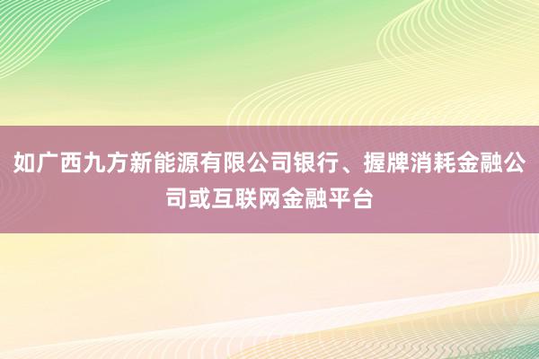 如广西九方新能源有限公司银行、握牌消耗金融公司或互联网金融平台