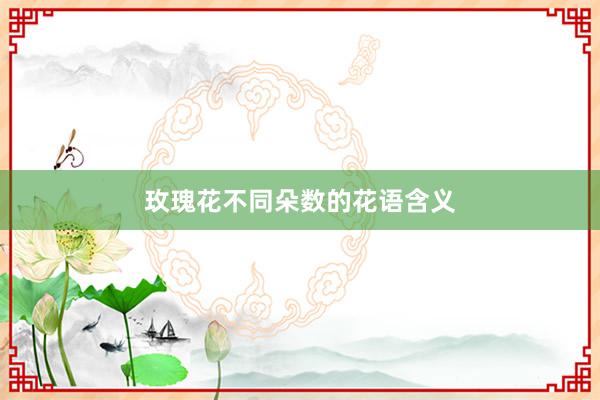 玫瑰花不同朵数的花语含义