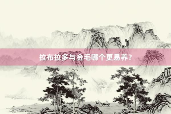 拉布拉多与金毛哪个更易养？