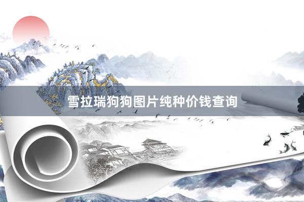 雪拉瑞狗狗图片纯种价钱查询